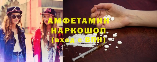 крисы Ростов