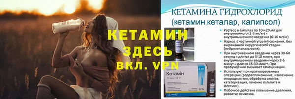 крисы Ростов