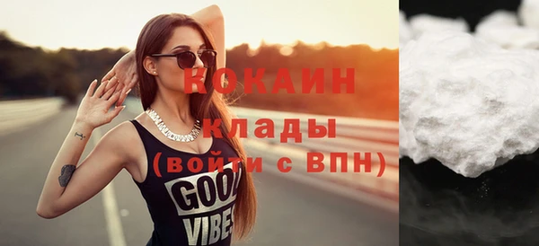 крисы Ростов