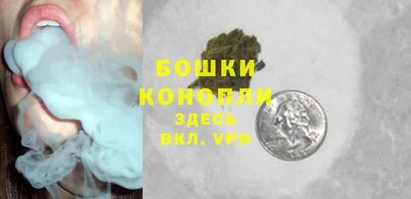 крисы Ростов